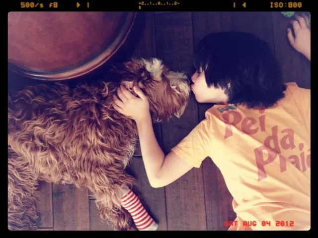 Animal Dreamboat