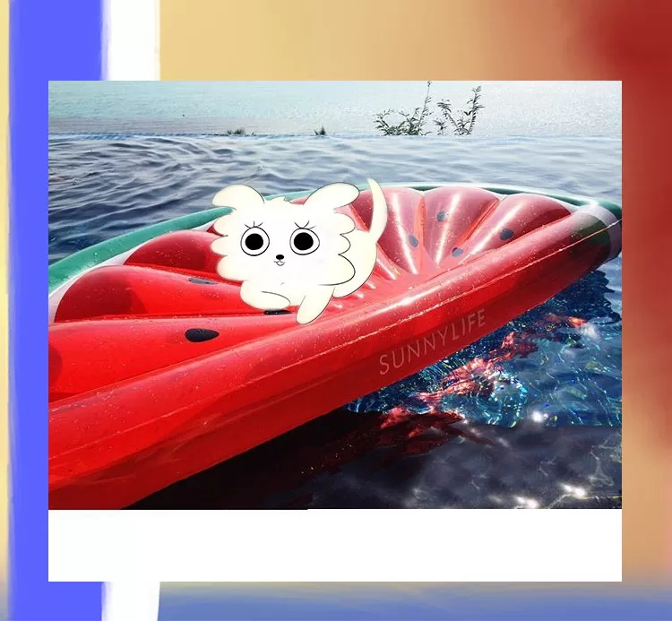 Animal Dreamboat