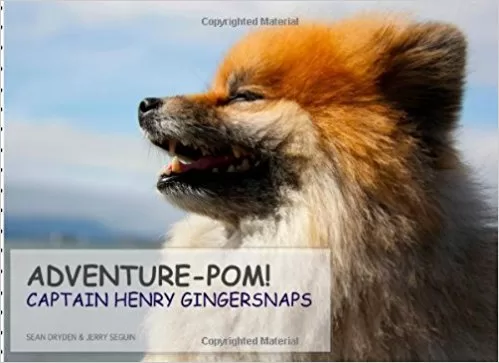 Animal Dreamboat