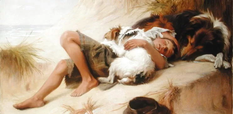 Animal Dreamboat